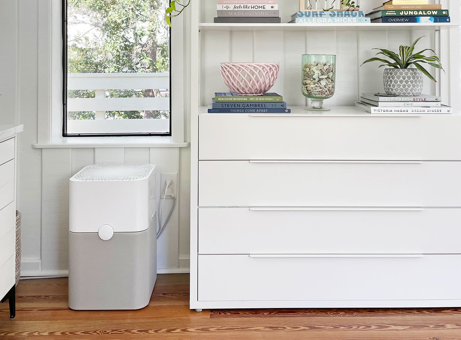 Air purifier young house cheap love