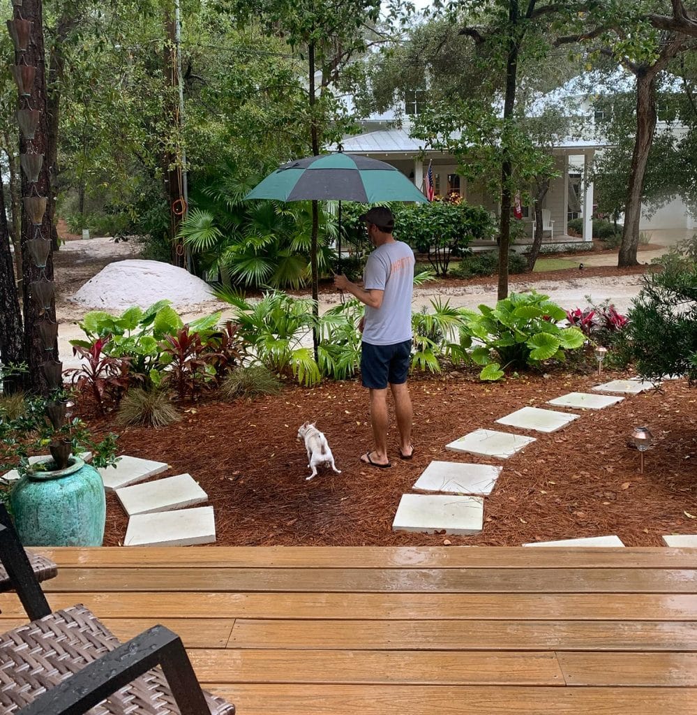 Um cachorro-hamburguer fazendo xixi no quintal com John segurando um guarda-chuva