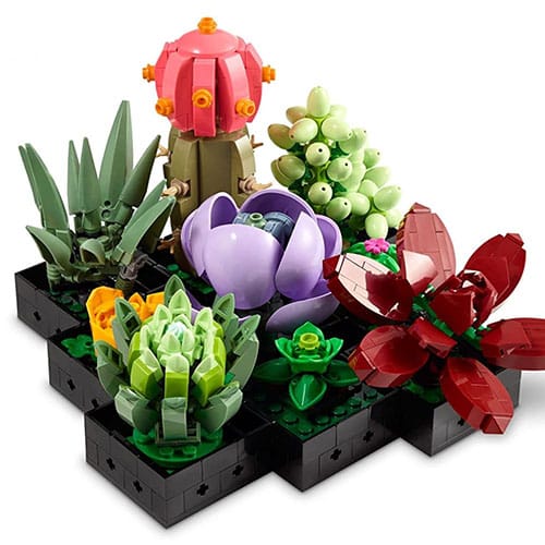 Adult Lego Botanical Succulent Set