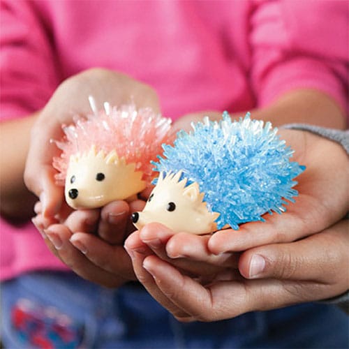 Hedgehog Shaped Crystal Growing Science Kit