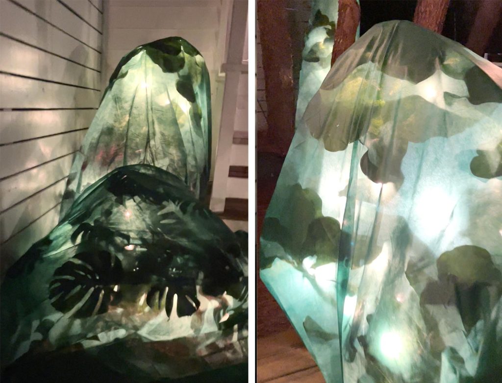 Frozen Pipes Covered Plants With Lights On How We Protected Our Vegetation From Freezing Temperatures Frost Blankets Over Fig Trees With Christmas Lights