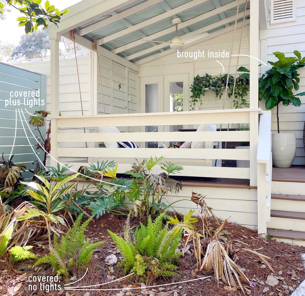 Picture Of Front Porch With Labels On What Lived And Died After Freezing