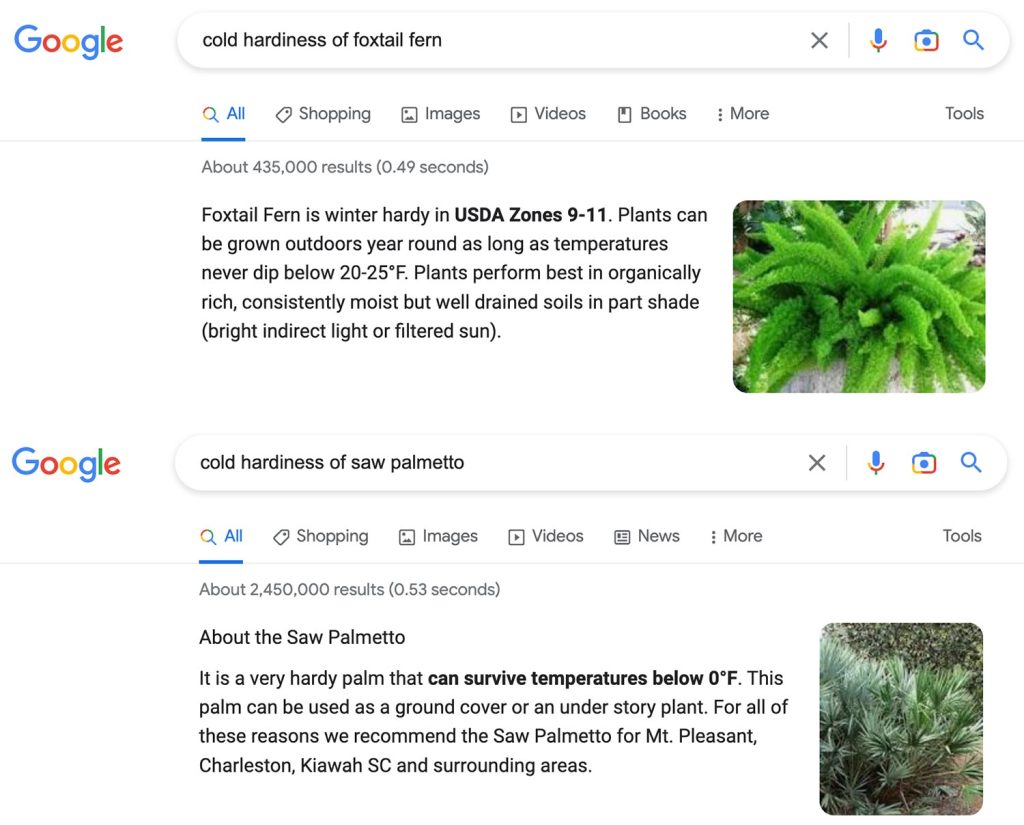 Google Search Result Page Of Cold Hardiness For Tropical Plants