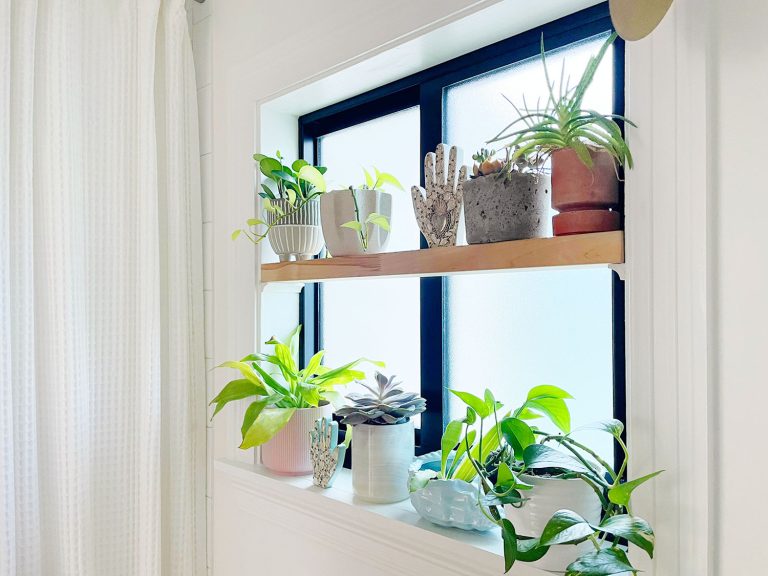 DIY window shelf with plants in pots in bathroom