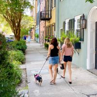 A Weekend In Charleston, SC With Kids