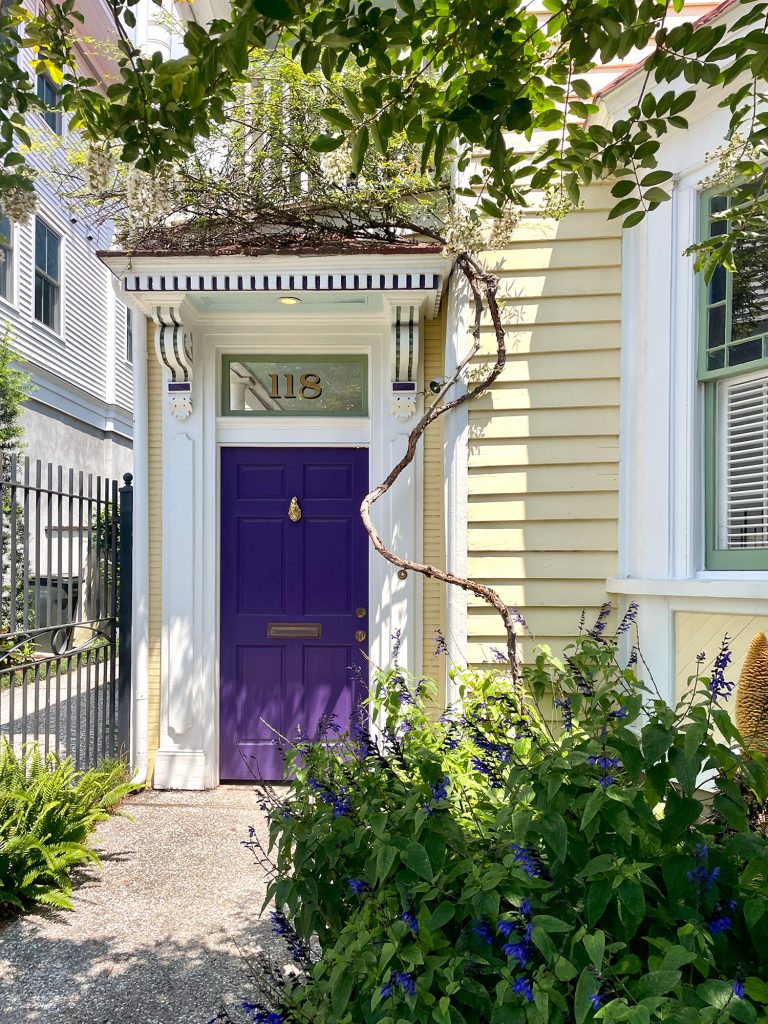 Yellow House With Vine Around Portico In Charleston South Carolina