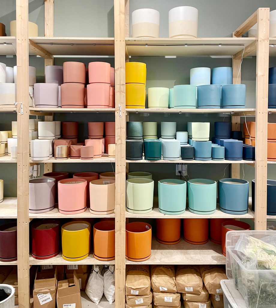 Colorful Plant Pots At Plant House In Charleston South Carolina