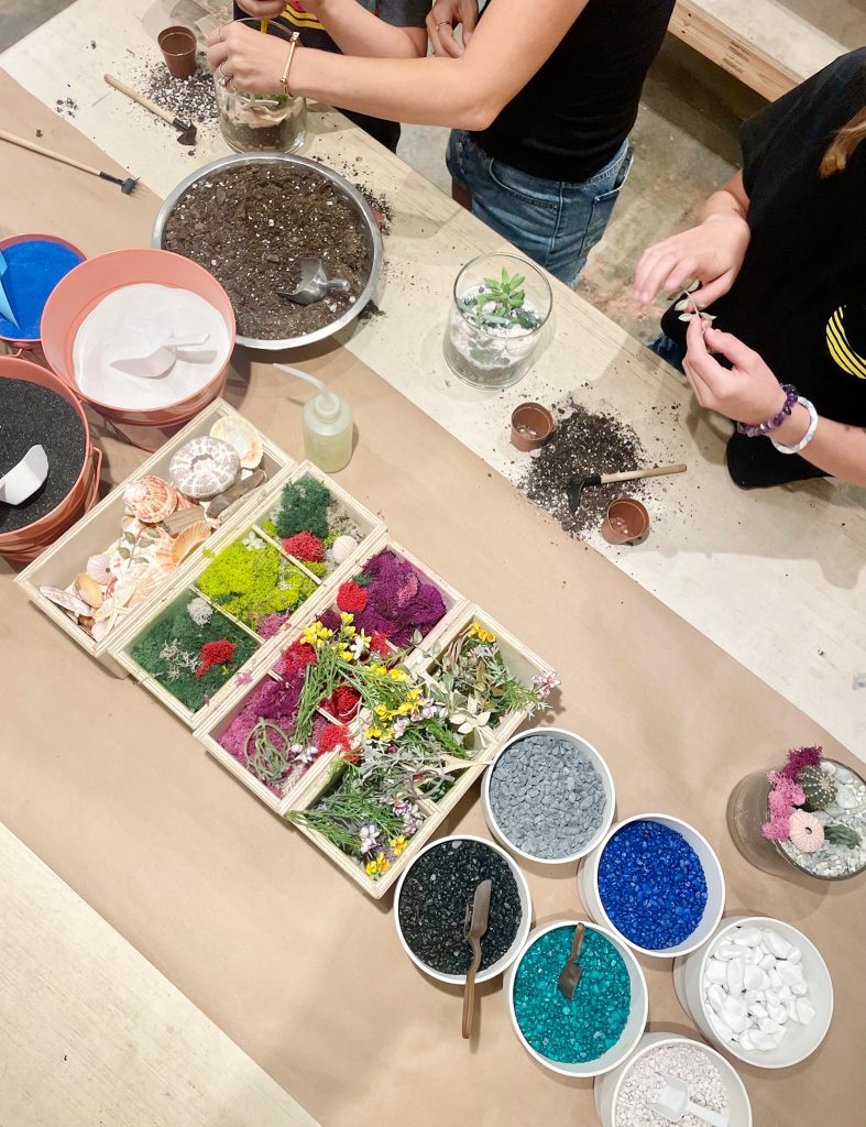 Children Making Terrariums At Plant House In Mount Pleasant In Charleston South Carolina