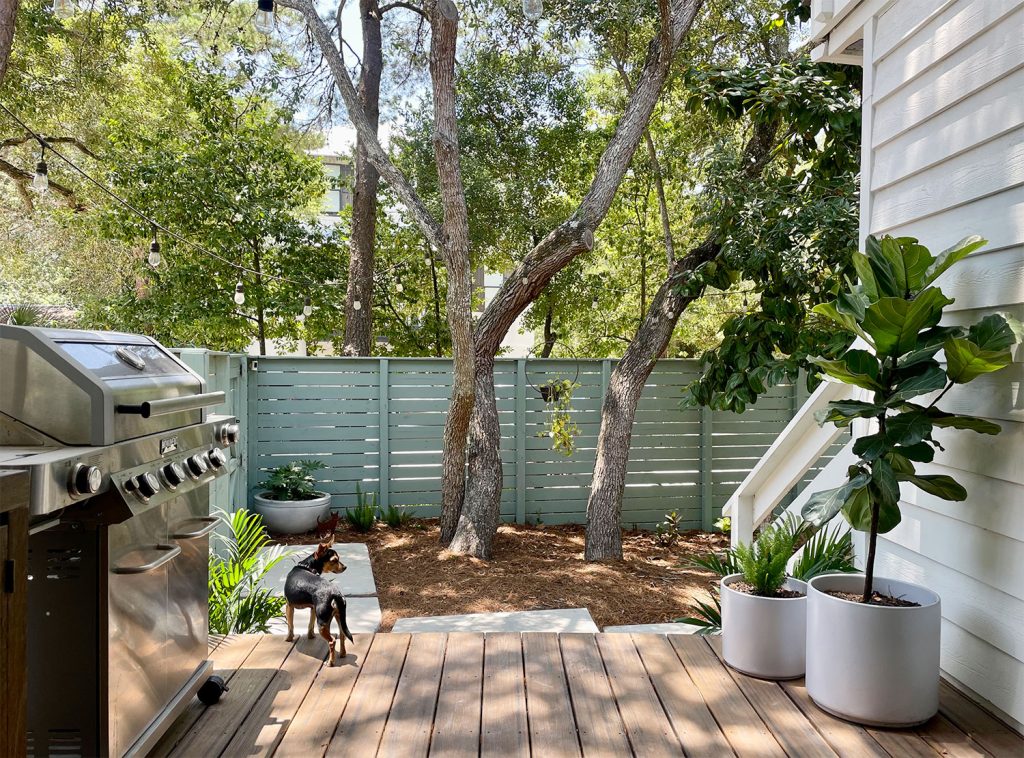 View From Kitchen Porch Into Side Yard With Dog On Trex