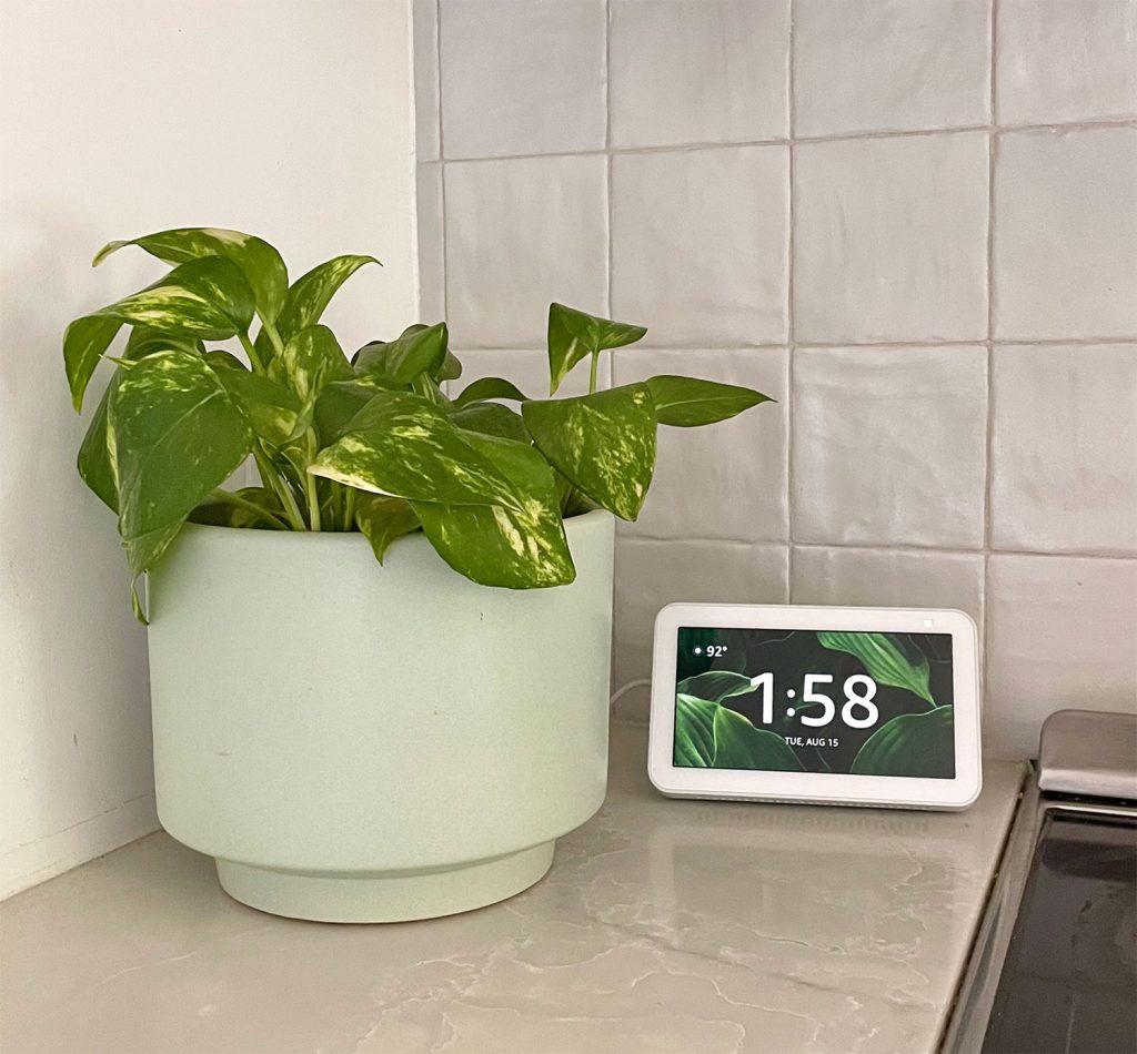 Amazon Echo Show 5 With Tropical Plant Clock Screensaver