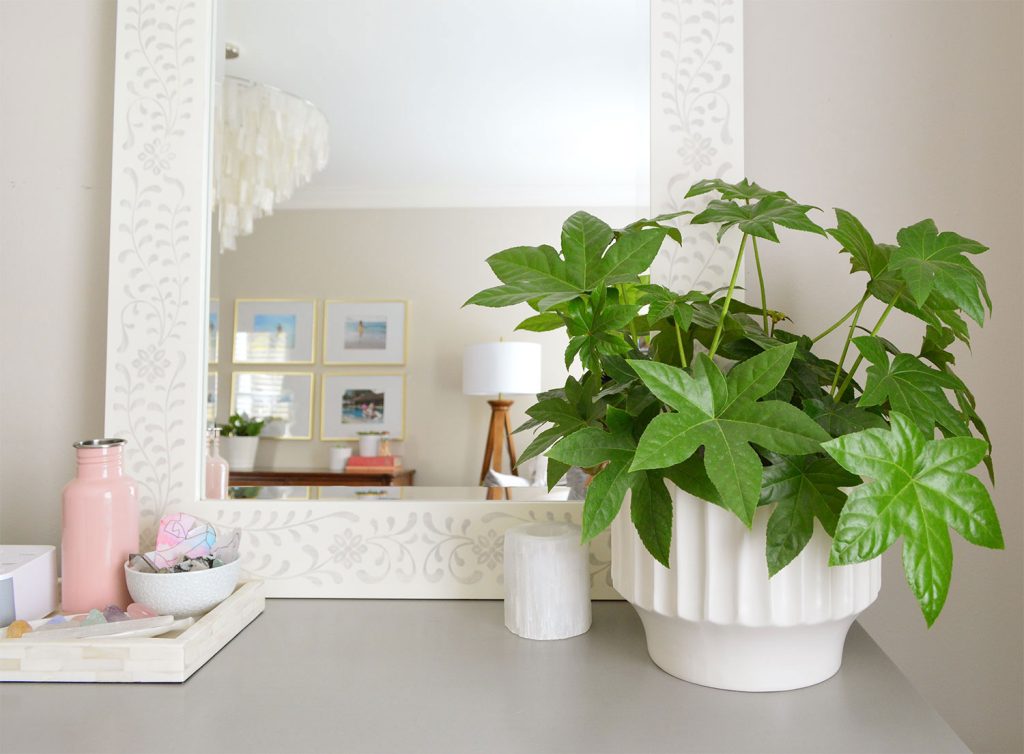 Close up of Edgecomb Gray Bedroom With Mirror and Plant