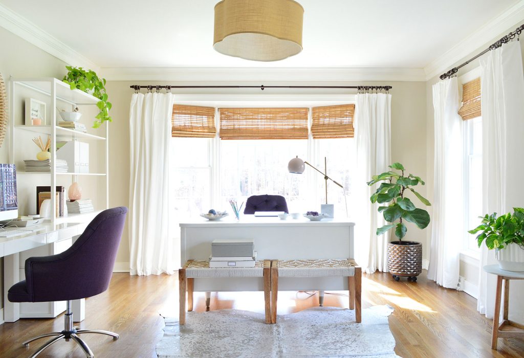 Home Office With Large Fiddle Leaf Fig Tree In Corner