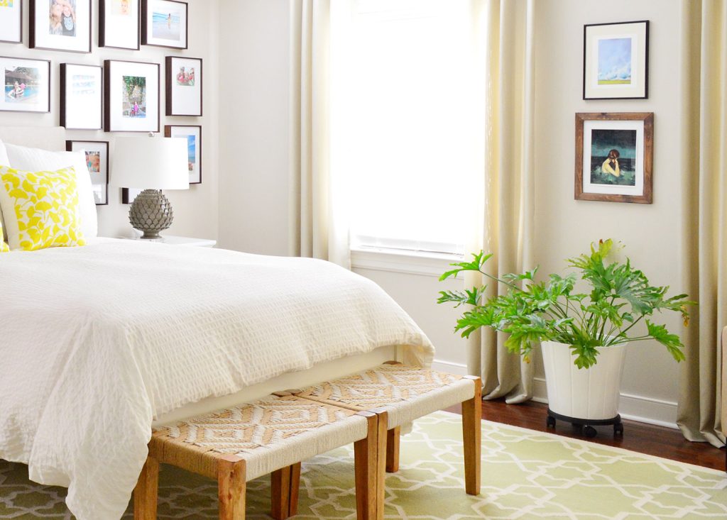 Tree Philodendron Selloum In Corner Of Bedroom