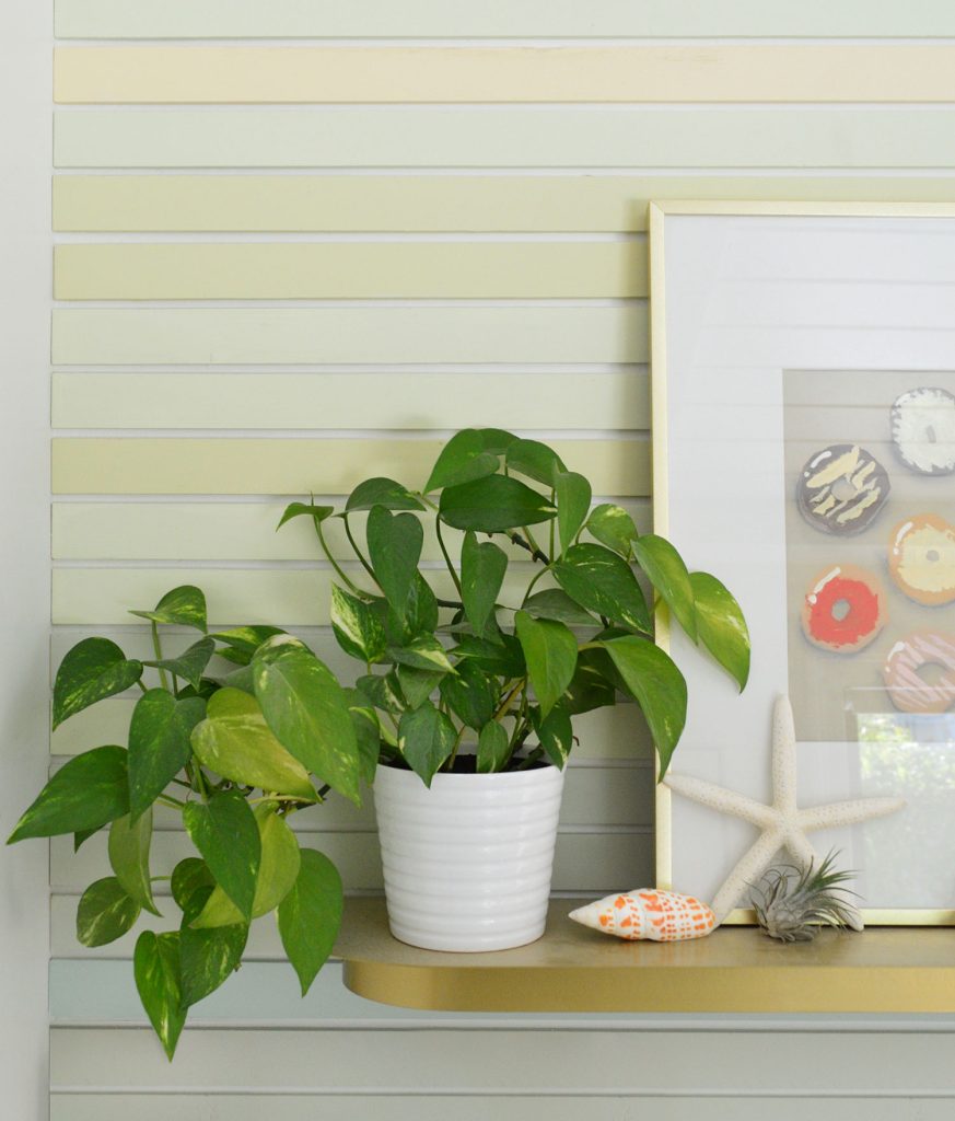 Gold Pothos On Colorful Striped Wall
