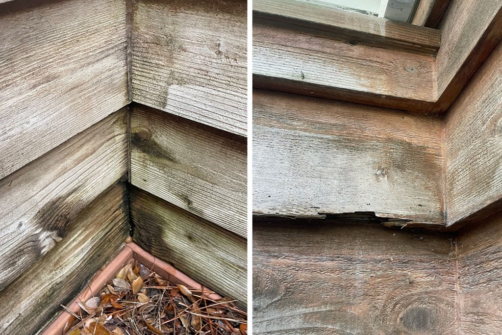 Two Examples Of Rotted Cedar Siding In Outdoor Shower