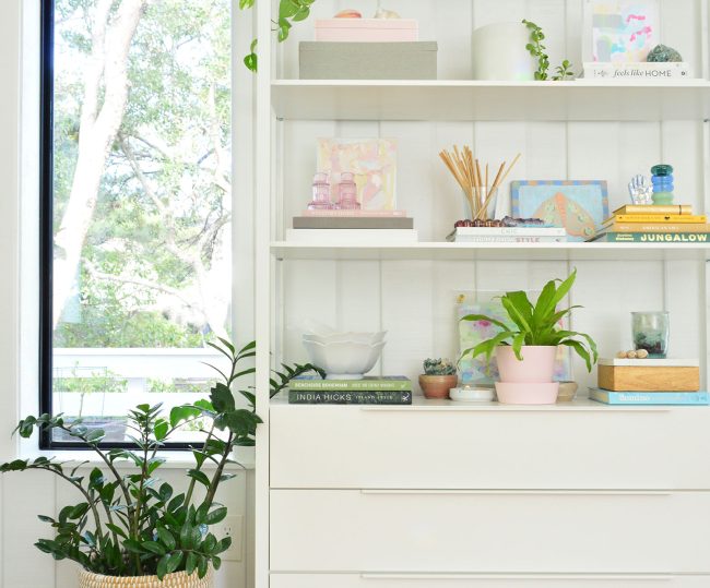 Best Air Purifying Plants