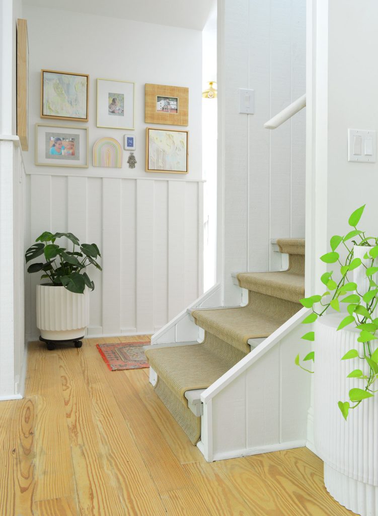 Monstera And Pothos In Low Light Hallway