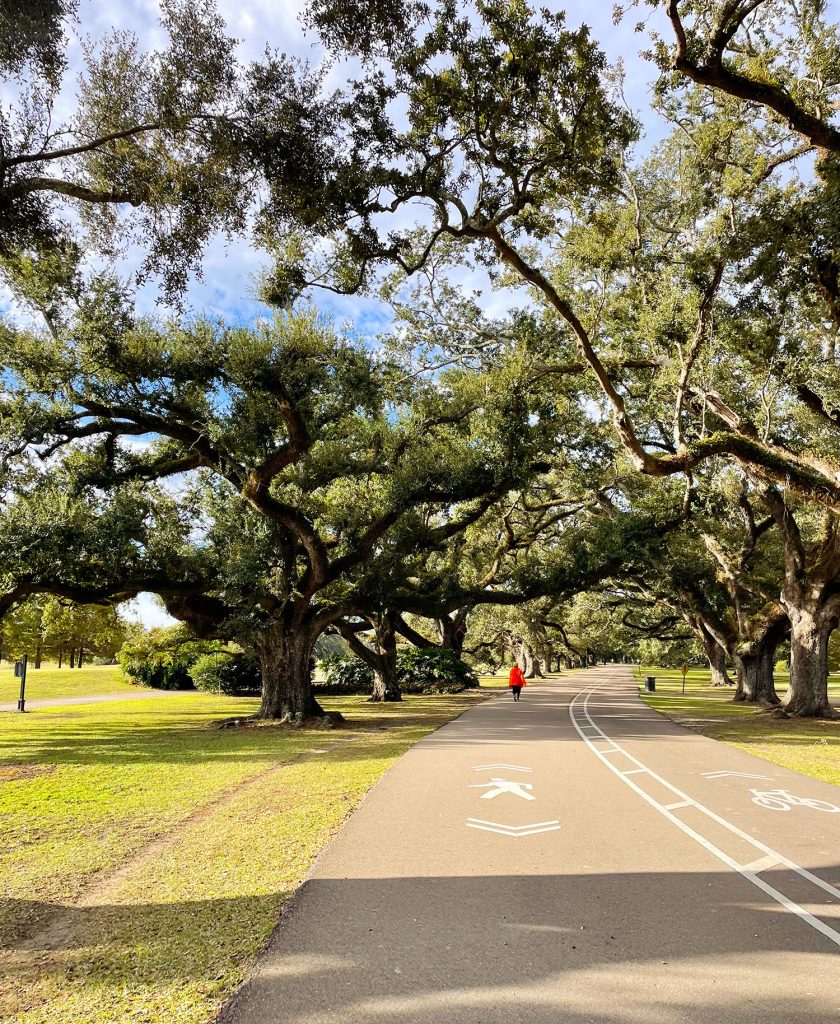Paved Bike Walking Path In Audubon Park New Orleans