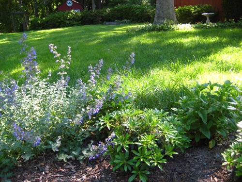Landscape Your Patio Or Garden, How To Plant Around A Patio