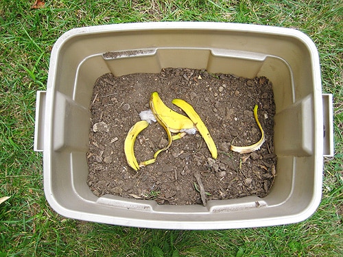 cáscara de plátano en un contenedor de compost de bricolaje