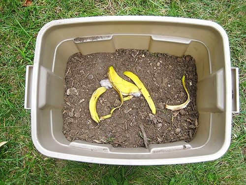 compost bin in honor of earth day » a healthy life for me