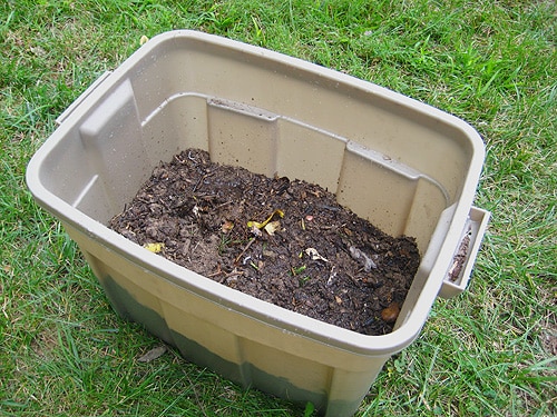 A step-by-step guide to starting a compost bin with layers of organic waste in a bin