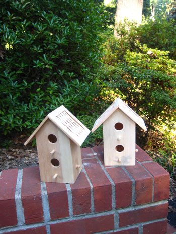 Birdhousebeforepictures