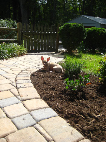 Pavers Patio Cobblestone Wa