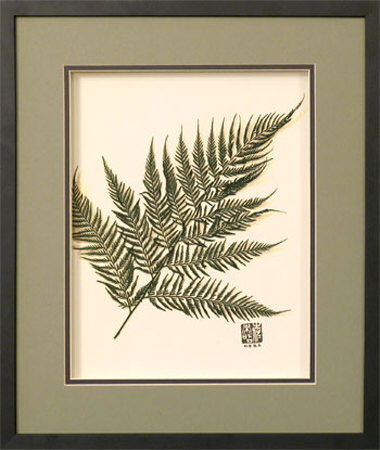 austral-fern-authentic-preserved-botanical