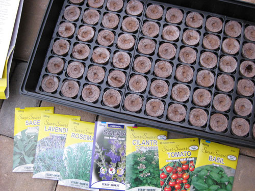 growing-herbs-and-vegtables-from-seeds