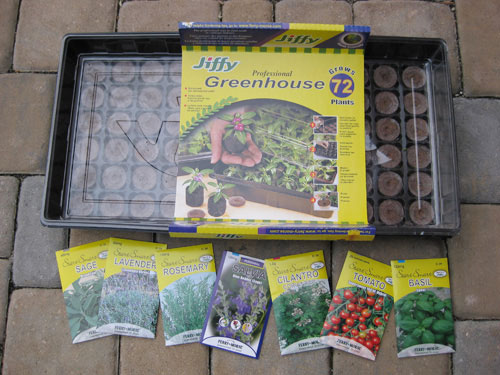 jiffy-plant-tomatoes-from-seeds-greenhouse