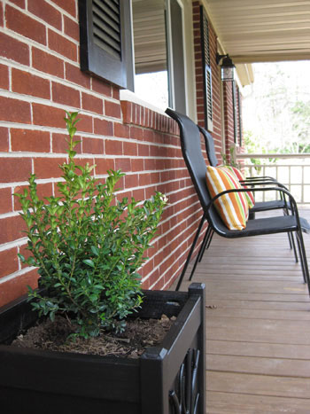 boxwood-black-square-planter-diy-project