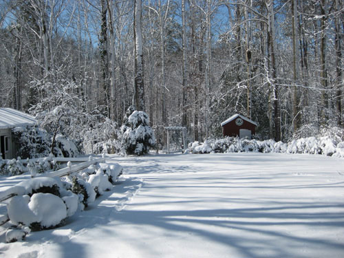 gorgeous-snow-picture-backyard