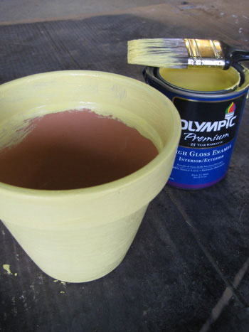 adding yellow paint to terra cotta pot