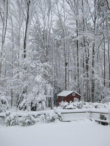 richmond-snowstorm-of-2009