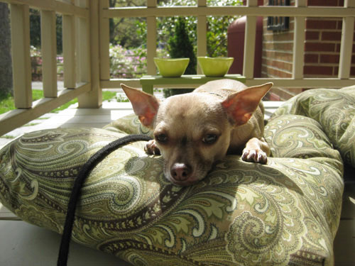 burger-on-a-dog-bed-floor-pillow