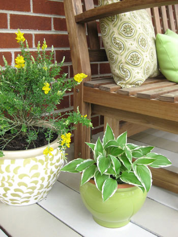 green-yellow-tan-brown-front-porch-makeover-planters-before-and-after