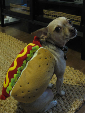 burger-hot-dog2