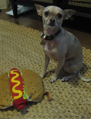 burger-hot-dog3