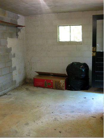 before of basement with half painted cinder block walls