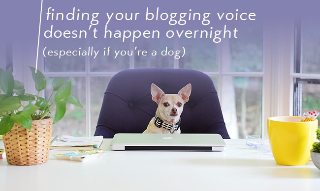 tip for blogging - finding your blogging voice doesn't happen overnight