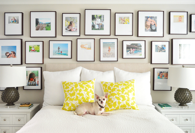 Beige-Paint-Bed-With-Dog-Frame-Gallery