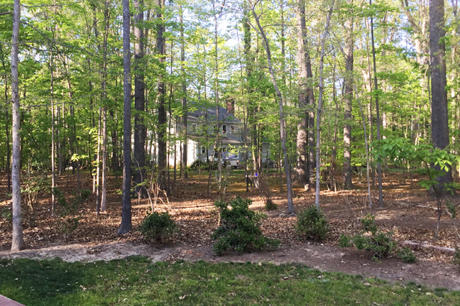 Shed-Before-Need-For-Privacy