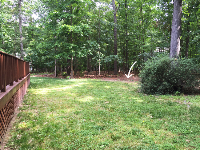 Shed-Before-Yard-From-Corner-With-Arrow