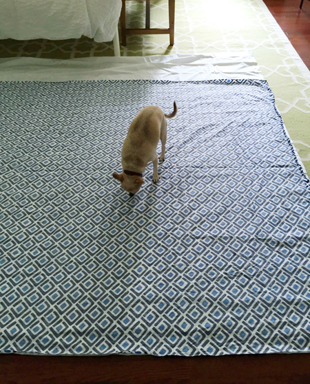 Split-Duvet-Laid-On-Ground-Chihuahua-Inspecting