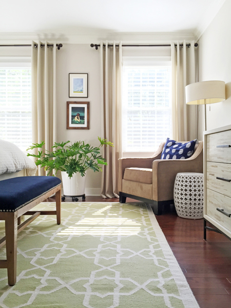 hope-philodendron-house-plant-easy bedroom
