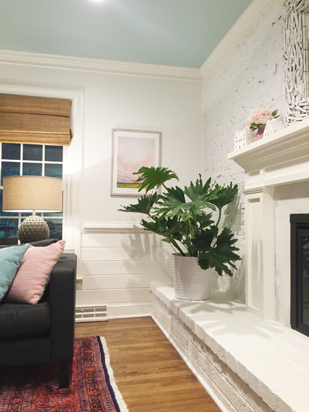 hope-philodendron-potted-indoor white living room