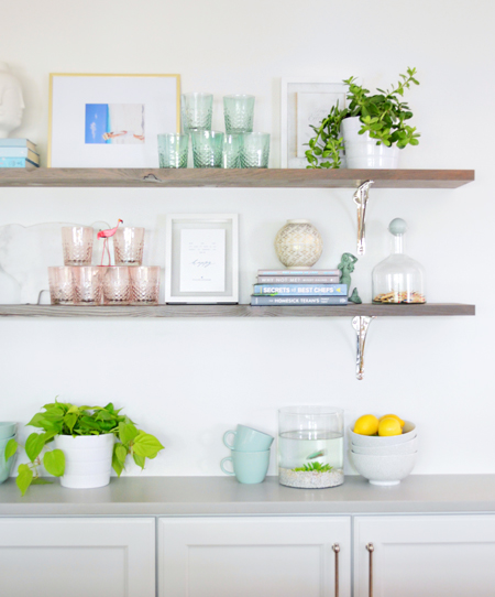 reclaimed wood shelves with polished nickel brackets and plants