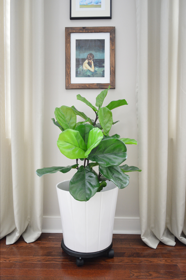 Faux Fiddle Leaf Fig Quarto de dormir completo