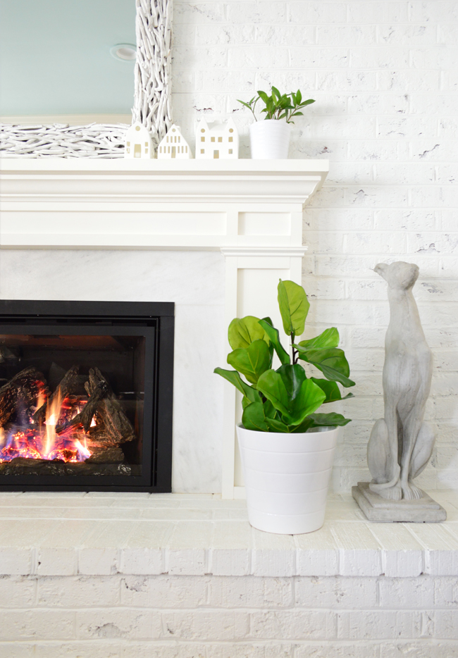 Faux Fiddle Leaf Fig Living Room Detail